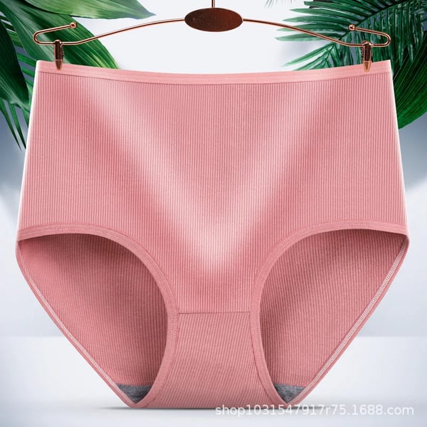 ( 🎁 2025 Neujahr heißer Verkauf 50% Rabatt🎁) ✨Saugfähige Damenhöschen mit hoher Taille✨