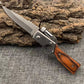 ✨LETZTER TAG VERKAUF 50% RABATT✨🔪Outdoor-Edelstahl-Feder-Klappmesser