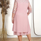 Damenkleid aus besticktem Chiffon mit Rundhalsausschnitt