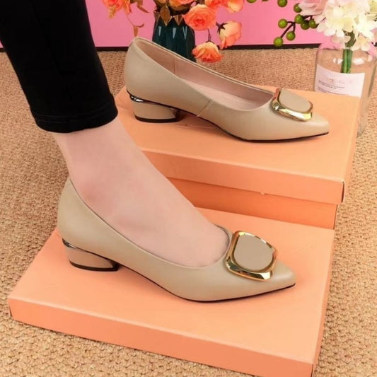 Damenschuhe mit niedrigem Absatz und flacher, spitzer Zehenpartie
