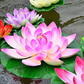 Schwimmende künstliche Simulation Seerose für Hausgarten Teiche Dekoration