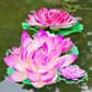 Schwimmende künstliche Simulation Seerose für Hausgarten Teiche Dekoration