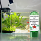 🍃💦Leistungsstarke Wasserreinigungstablette für Aquarien✨✨