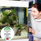 🍃💦Leistungsstarke Wasserreinigungstablette für Aquarien✨✨