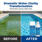 💧1+1 GRATIS🌊 pH-neutraler Klarspüler – Schluss mit grünem Wasser! – Einfache Dosierung, kein Chlorgeruch & weniger Reinigungsaufwand für natürlich reines Badevergnügen ✨