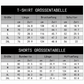 📢📢50%Rabatt!!!🎉✨Zweiteiliges Set für Herren: Freizeit-T-Shirt und Shorts