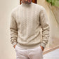 📢📢50%Rabatt!!!🎉✨Rollkragen-Zopfmusterpullover für Herren
